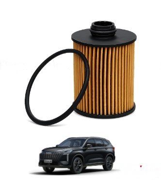 Haval H 6 Oil Filter Imported
