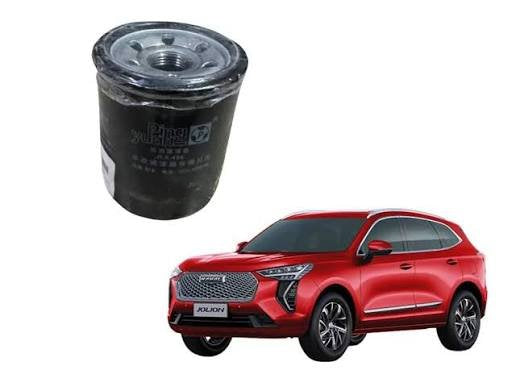 Haval Jolion Oil Filter Imported